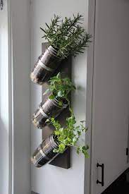 Indoor Herb Garden Mason Jar Herb Garden Mason Jar Decor Etsy Mason Jar Herb Garden Mason Jar Herbs Mason Jar Planter