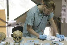 We did not find results for: How Do You Become A Forensic Anthropologist Top Criminal Justice Degrees