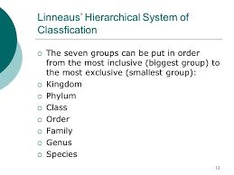 Classifying The Diversity Of Organisms Tek 8a Define Taxonomy And Recognize The Importance Of A Standardized Taxonomic System To The Scientific Community Ppt Download