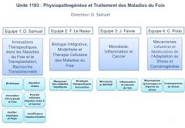 Les détails de l'étude sont publiés dans la revue ebiomedicine. Unite De Recherche 1193 Physiopathogenese Et Traitement Des Maladies Du Foie Centre Hepato Biliaire Paul Brousse