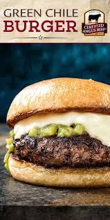 A Thick And Juicy Burger Topped With Spicy Mexican Beer Green Chile Sauce And Melted American Cheese Cheeseburger Recipe Best Beef Recipes Green Chili Burger