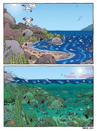 Oh And Spongebob Comics 31 Came Out Yesterday Mariswicks Biomes Ocean Projects Marine