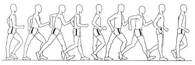 Race walking is a competitive, highly technical style of walking that is performed in competitive settings at track meets. 3 Illustration Of A Typical Race Walking Gait Cycle Laird 1996 Download Scientific Diagram
