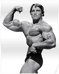 So he worked them tirelessly, and after winning. Arnold Schwarzenegger Poster By Claire C Arnold Schwarzenegger Schwarzenegger Bodybuilding Pictures