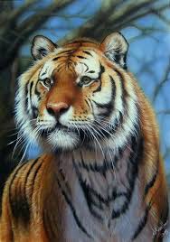 Treat yourself or give an inspiring gift that is uniquely personal and colorful. Oil Painting Tiger Cat Art Pet Portraits Wild Cats