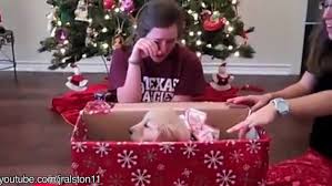 Ask these questions before giving someone a puppy for christmas. Montage Of People Getting Puppies For Christmas Will Warm Your Heart Pix11