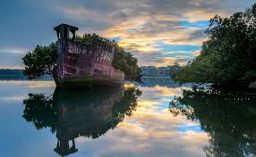 102 year old abandoned ship is now a floating forest loceted in homebush bay sydney australia abandoned ships abandoned places abandoned