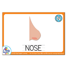 Flashcards below are going to help your child learn their letters in no time. Free Alphabet Flashcards For Words That Start With The Letter N Bingobongo