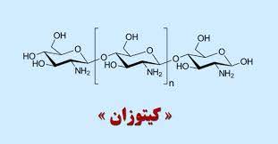 استفاده از کیتوزان در حذف فلزات سنگین | آرام صنعت