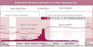 Le perdite bianche si presentano sia prima che dopo il ciclo mestruale. Evitare Lo Gravidanza Con Il Metodo Del Muco Cervicale