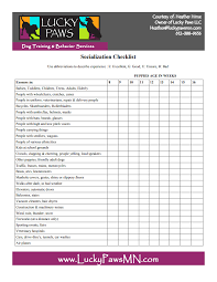 Essentials, optional 'extras' and puppy care responsibilities. Puppy Socialization Lucky Paws Blog