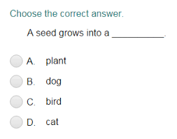 This quiz contains the objectives for the lessons on stems and leaves for fifth grade mn state standards. Plant Life Cycle Quiz Turtle Diary