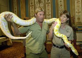 He was portrayed by epiclloyd. Steve Irwin S Last Words Cameraman Recalls Death Of Famed Crocodile Hunter Ctv News
