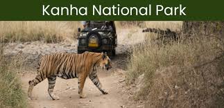 Some of which use nano molecular technology, which means you feel their effects in just 15 minutes, versus the traditional 90 minutes. Kanha National Park Blog Latest Wildlife News From Kanha