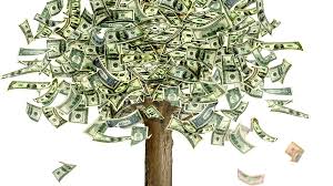 Image result for money tree