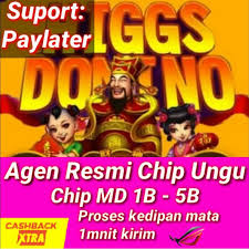 Tips aman membeli chip ungu higgs domino island lewat facebook kamu harus melihat rating atau testimoninya. Chip Higgs Domino Md Ungu Koin Sakti Shopee Indonesia