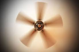 Having looked at creative options myself i got to say i tend to side with them. Which Way Should A Ceiling Fan Turn Home Matters Ahs