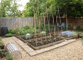 They will use each other for support. Traditional Way To Support Runner Bean Peas Support Allotment Gardening Veggie Garden Fruit Garden