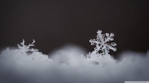 images?q=tbn:ANd9GcQPYAyE3LDwU1C-enXgflg