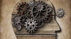 Resultado de imagen para "Learnability es la capacidad que tiene un individuo o una organización para aprender rápidamente nuevas habilidades"