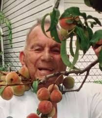 Benedetto Napoleone Obituary March 7, 2023