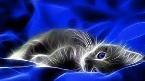 Itl.cat provides hd desktop and mobile wallpapers and backgrounds for free download. 3d Abstract Cat Wallpapers 9 Wallpapers13 Com