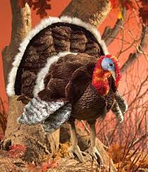 6 видео 234 просмотра обновлен 10 сент. Folkmanis Handdukke Kalkun