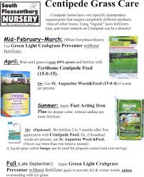 Will centipede grass take over bermuda grass? 12 Centipede Grass Ideas Centipede Grass Grass Centipede