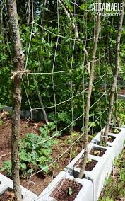 Do garden tips get much better than this 1p wonder from celebrity gardener david domoney?! Diy Trellis Ideas For Growing A Vertical Garden On A Budget
