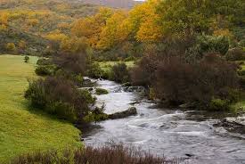 Cantalojas Guadalajara Hayedo De Tejera Negra Nature Reserve Hayedo De Tejera Negra Lugares De Espana Viajes