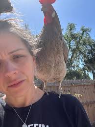 How big should a coop be for 35 chickens?