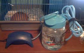 Pin On All About Hermit Crabs