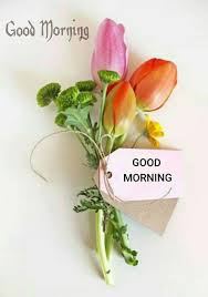 Top 100 Good Morning Love Images For Girlfriend Whatsapp Dp Whatsapp Wallpaper Dp Images Whatsa Good Morning Love Good Morning Cards Good Morning Flowers