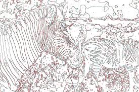 Malen Nach Zahlen Vorlage Zebra Tiere Malen Nach Zahlen Kostenlos Malen Nach Zahlen Malen Nach Zahlen Vorlagen