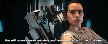 When I Ask My Pi To Sign My Dissertation Rey Star Wars Star Wars Episode Iv New Star Wars