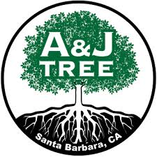 Where's the value in a santa barbara certified arborist? Certified Arborist Santa Barbara A And J Tree