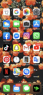 Pin By Anny C12 On Citate Frumoase In 2020 Homescreen Iphone Iphone Life Organization Apps