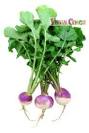 Image result for turnip