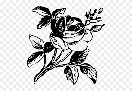 Download mewarnai gambar kupu kupu alamendahs blog halaman 3 via alamendah.org. Gambar Bunga Animasi Hitam Putih Gambar Bunga