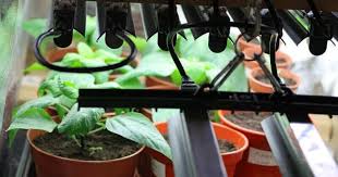 How Far Should Led Grow Lights Be From Plants Grow Light