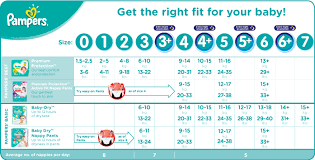 pampers size chart related keywords suggestions pampers