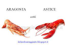 Подводная охота барракуда и помпано. Il Chiodo Arrugginito Qual E La Differenza Tra Aragosta E Astice