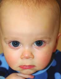 Susan Firchau's Instagram, Twitter & Facebook