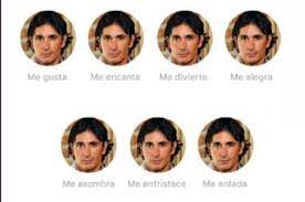 Share a gif and browse these related gif searches. Sebastian Estevanez Revelo Que Siente Con Los Memes Que Se Burlan De Su Actuacion
