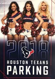 The houston texans cheerleaders are the official cheerleading squad of the houston texans of the national football league. Houston Texans Cheerleader Sierra Q Texans Cheerleaders Houston Texans Texans