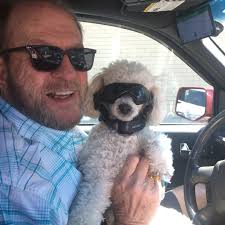 Who to call for golf cart insurance in Florida and approximate cost?