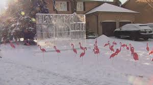 Hurricane hazel mccallion, who did not want to see doug ford become mayor of toronto four years ago, now evidently believes he should be ontario's next premier. I Don T Feel That I M 100 It S No Different Than Yesterday Former Mississauga Mayor Hazel Mccallion Celebrates Becoming A Centenarian Ctv News