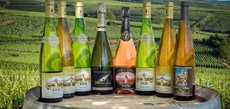 On se demande même si on ne va pas. Un Sejour En Alsace En Passant Par La Route Des Vins