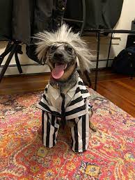 You are known for being kind, gentle, and friendly. Beetlejuice Beetlejuice Beetlejuice Funny