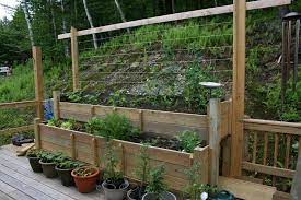 How to start a vegetable garden on a deck. Tiered Planters Vegetable Garden Planters Growing Vegetables Organic Vegetable Garden